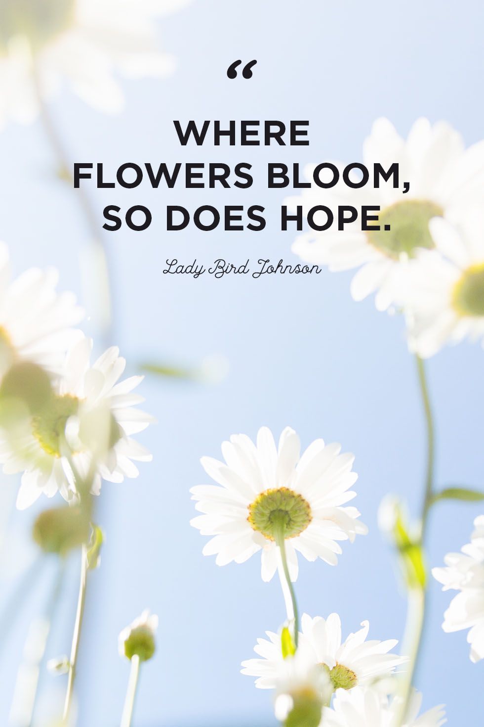 Flowers Best Quotes - KibrisPDR