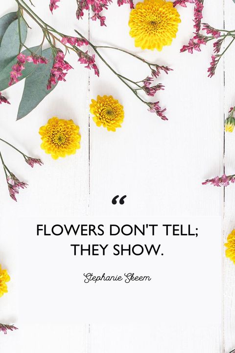 Download Flowers Best Quotes Nomer 3