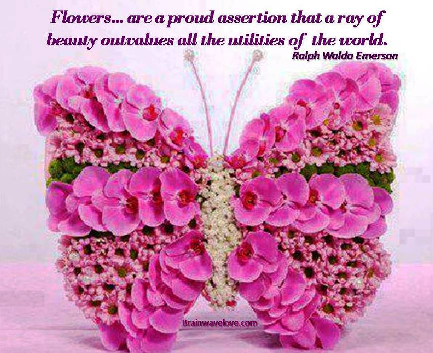 Detail Flowers Best Quotes Nomer 29