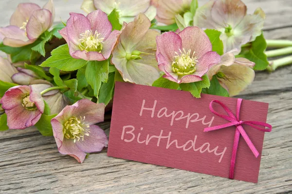 Detail Flowers Birthday Images Nomer 15