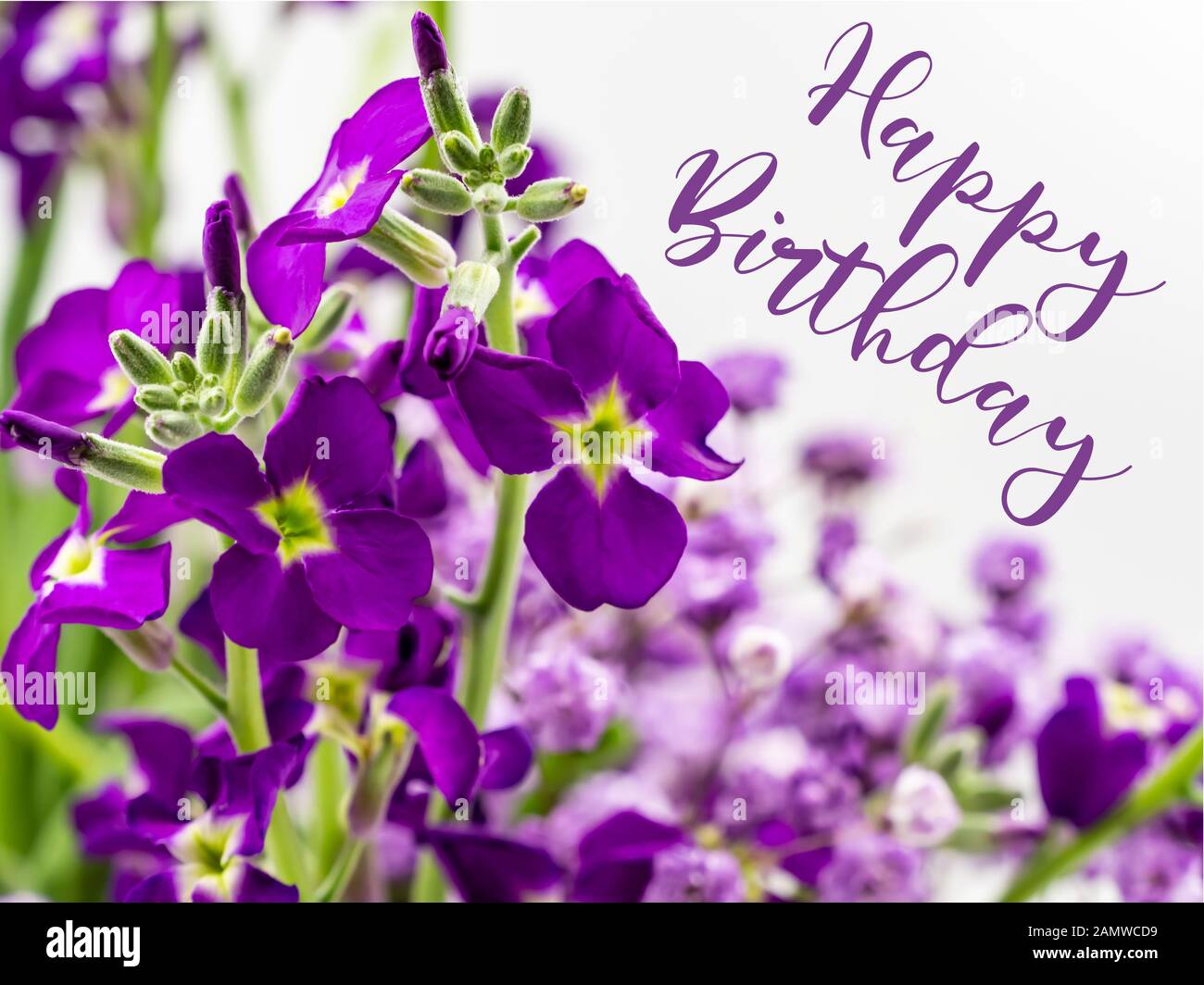 Detail Flowers Birthday Images Nomer 50