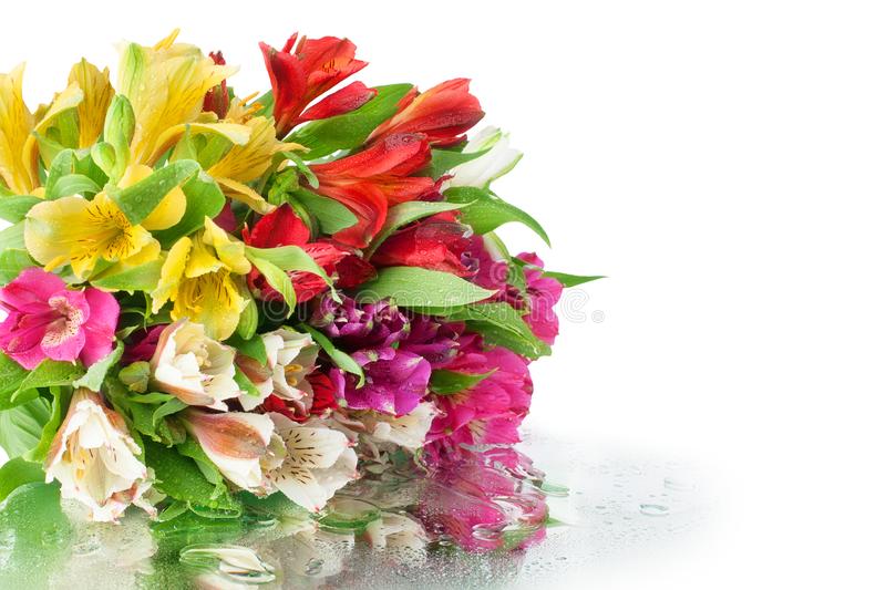 Detail Flowers Bouquet Hd Images Nomer 42