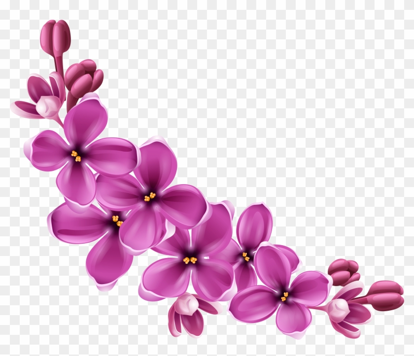 Detail Flowers Clipart Transparent Background Nomer 8