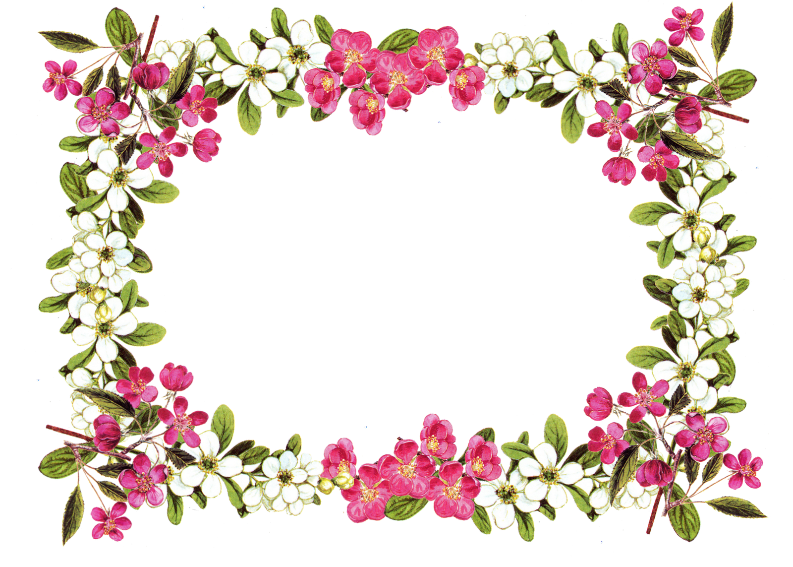 Detail Flowers Frame Images Nomer 40