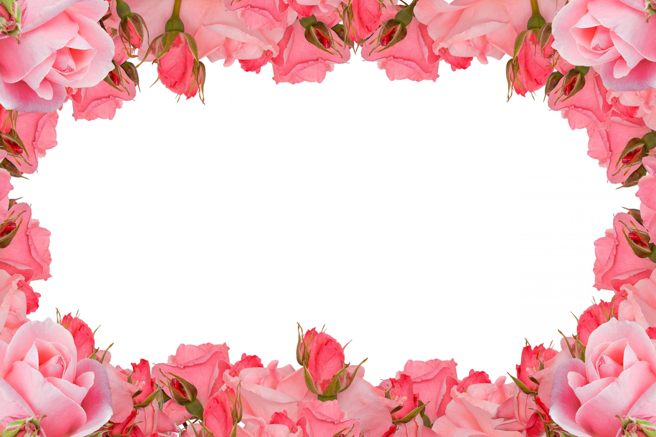 Detail Flowers Frame Images Nomer 45