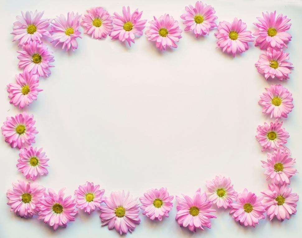 Detail Flowers Frame Images Nomer 50