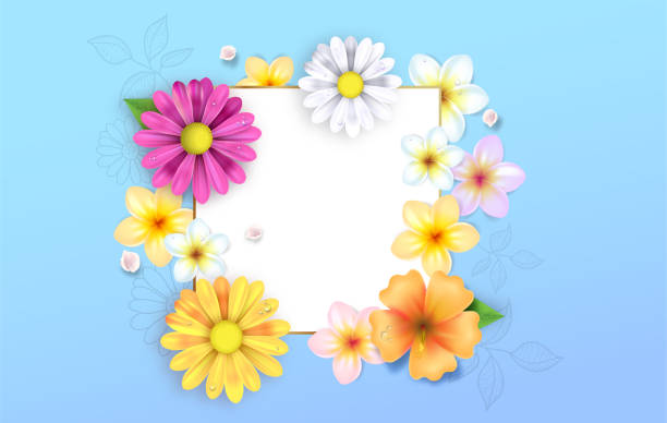 Detail Flowers Images Free Nomer 47