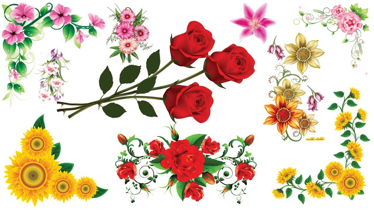 Detail Flowers Images Png Nomer 29