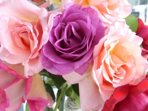 Detail Flowers Photos Download Nomer 25