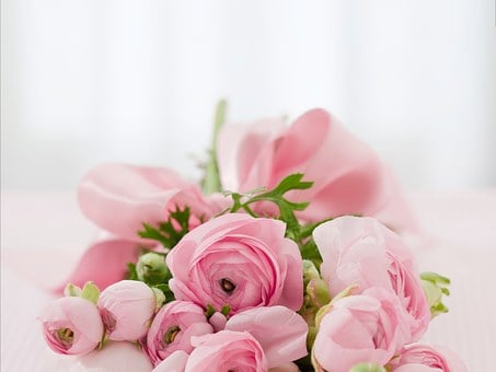 Detail Flowers Pictures Download Nomer 27