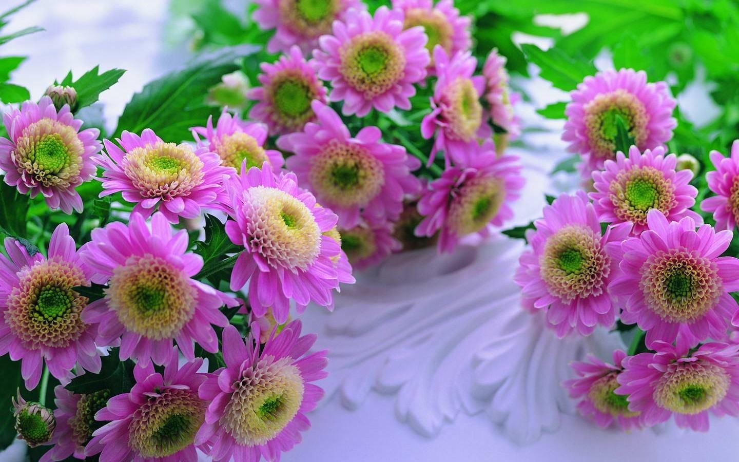 Detail Flowers Pictures Download Nomer 31