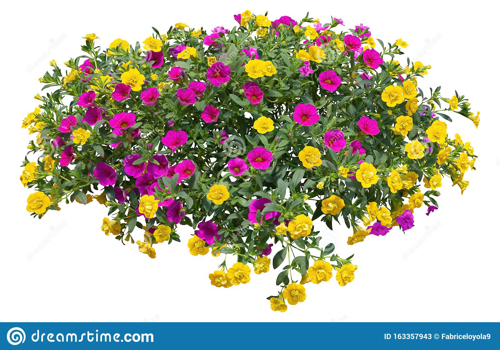 Detail Flowers Png File Nomer 13