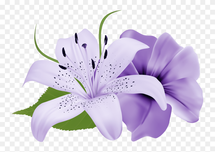 Detail Flowers Png Hd Nomer 43