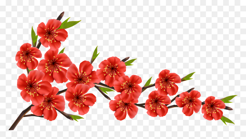 Detail Flowers Png Images Nomer 17