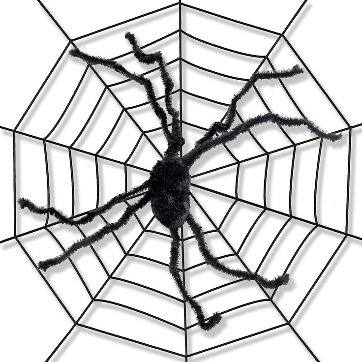 Detail Giant Spider 5e Nomer 11