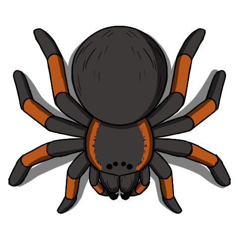 Detail Giant Spider 5e Nomer 28