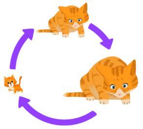 Detail Bagaimana Kucing Berkembang Biak Nomer 54
