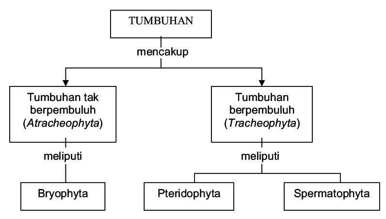 Detail Bagan Atau Skema Nomer 14