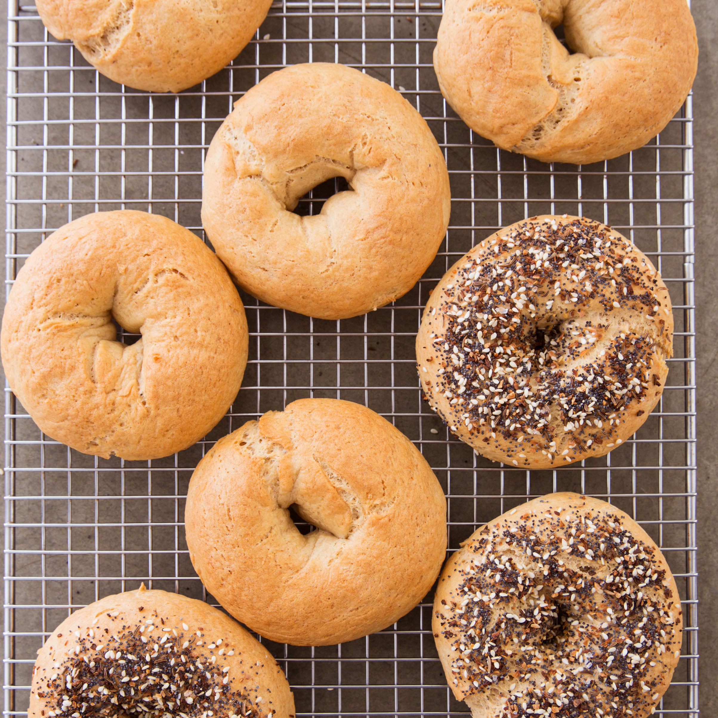 Detail Bagel Images Free Nomer 8