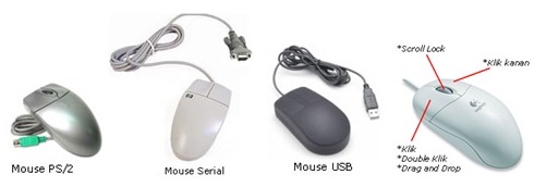 Detail Bagian Bagian Mouse Nomer 26