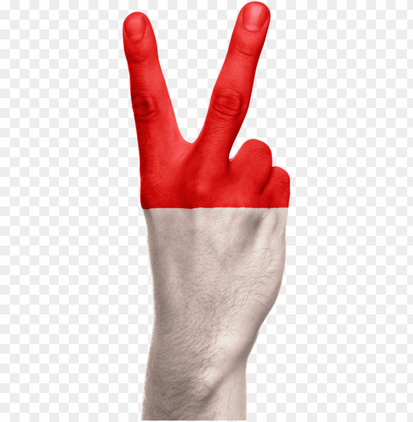 Detail Baground Bendera Nomer 54