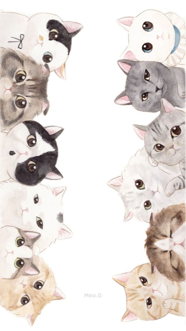Detail Baground Kucing Nomer 19