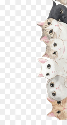 Detail Baground Kucing Nomer 32