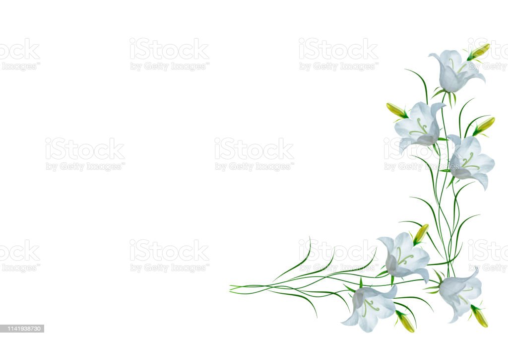 Detail Baground Putih Bunga Nomer 5