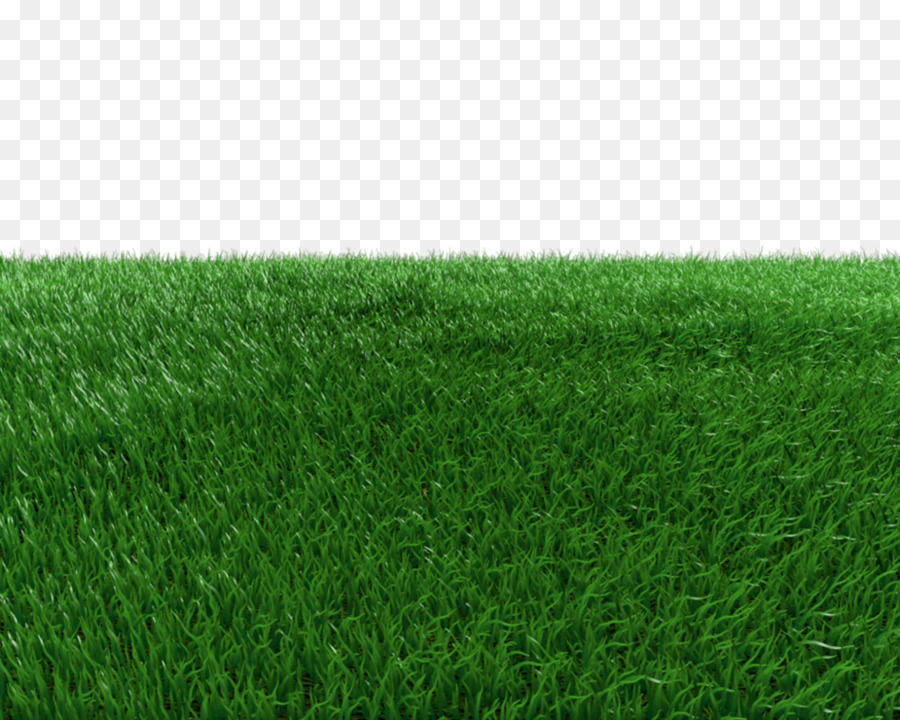 Detail Baground Rumput Png Nomer 10