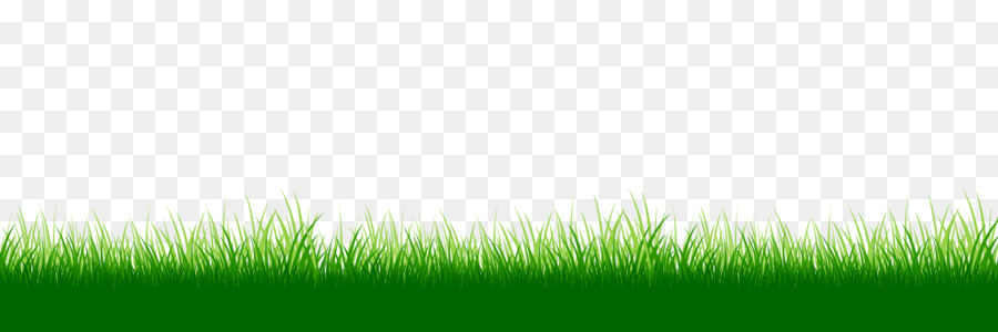 Detail Baground Rumput Png Nomer 11