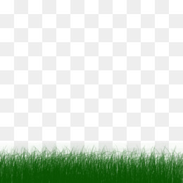 Detail Baground Rumput Png Nomer 16
