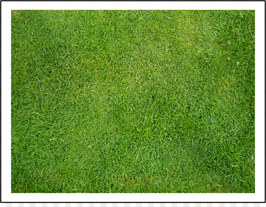 Detail Baground Rumput Png Nomer 17
