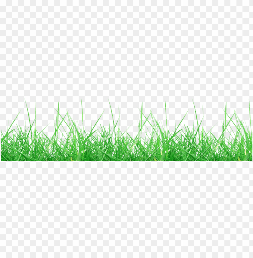 Detail Baground Rumput Png Nomer 25