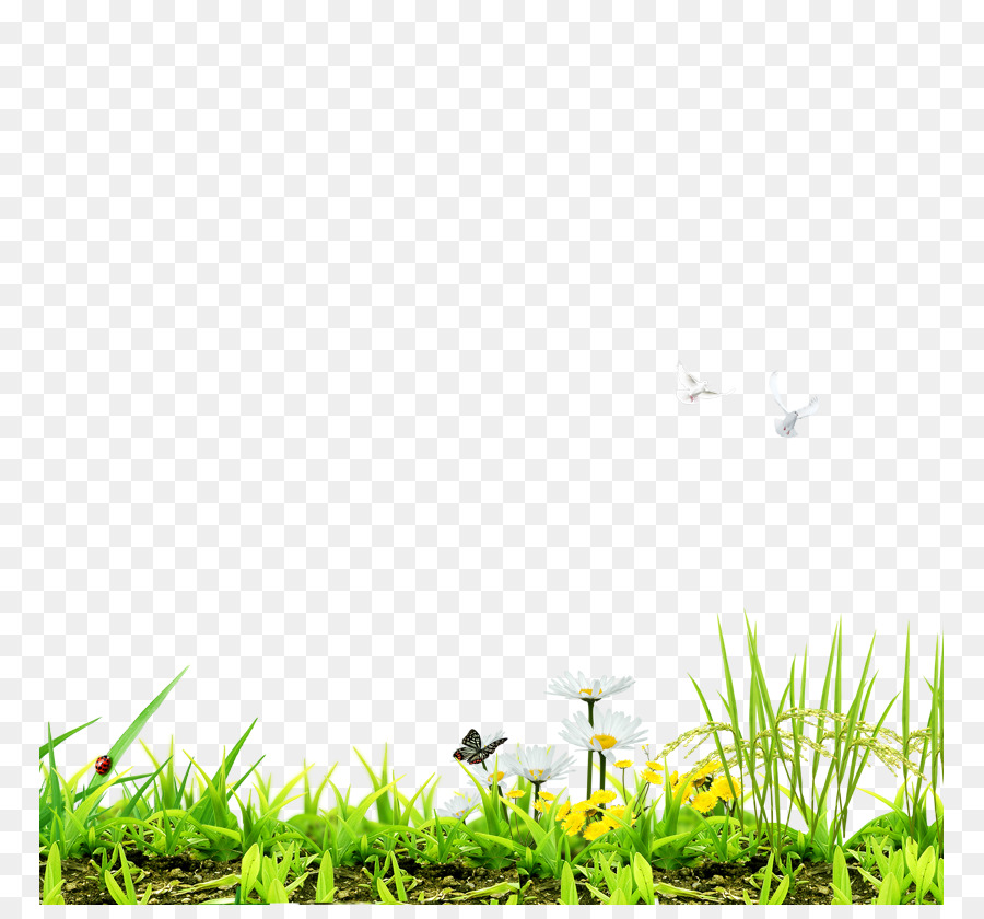 Detail Baground Rumput Png Nomer 29