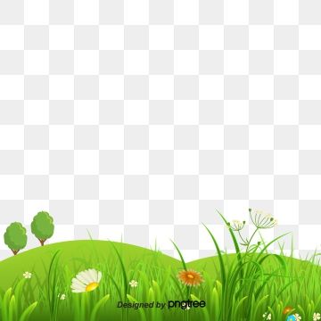 Detail Baground Rumput Png Nomer 41