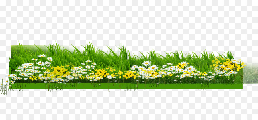 Detail Baground Rumput Png Nomer 50