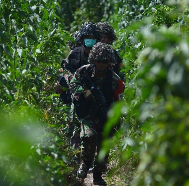 Detail Baground Tni Ad Nomer 21