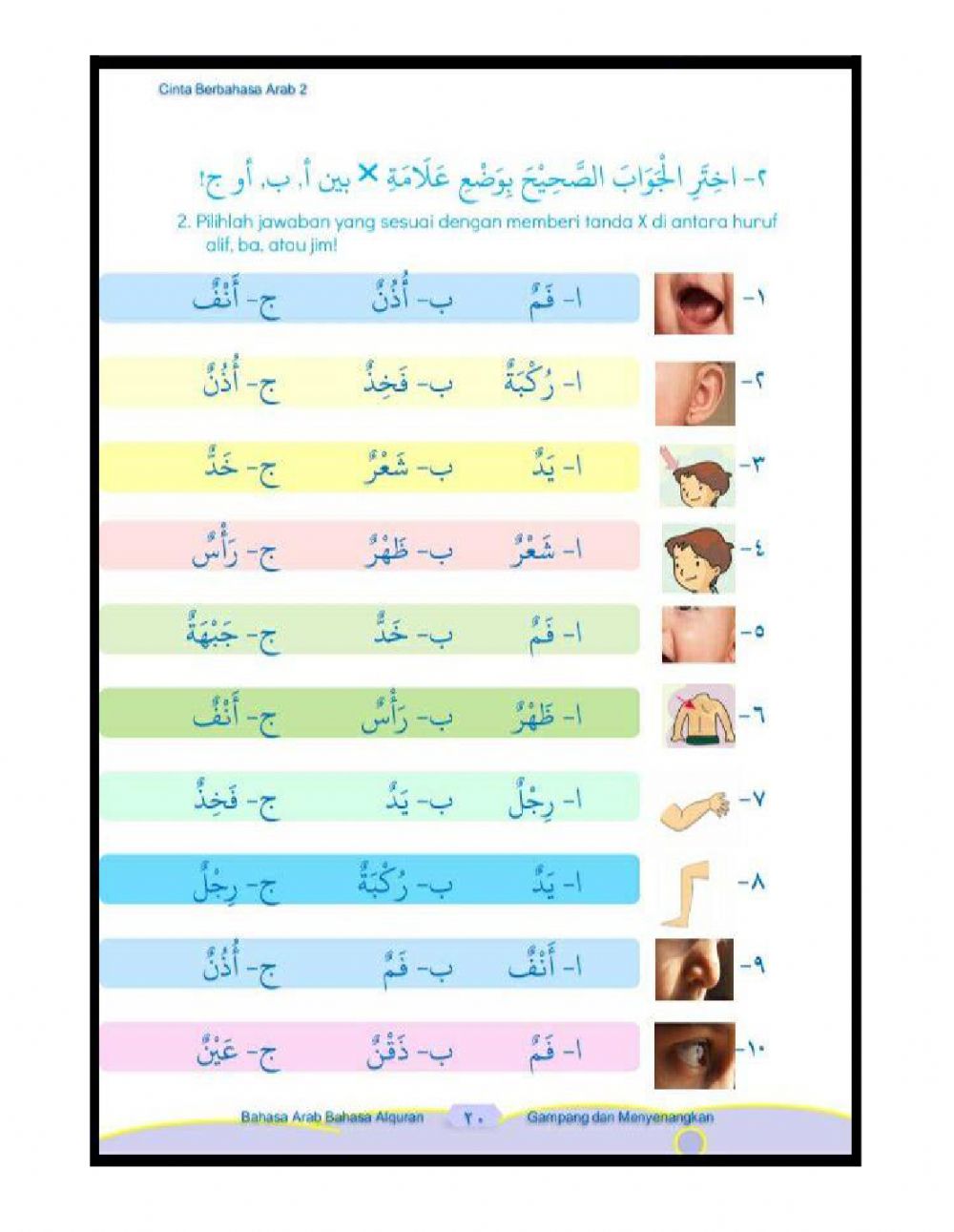 Detail Bahasa Arab Anggota Tubuh Bergambar Nomer 14