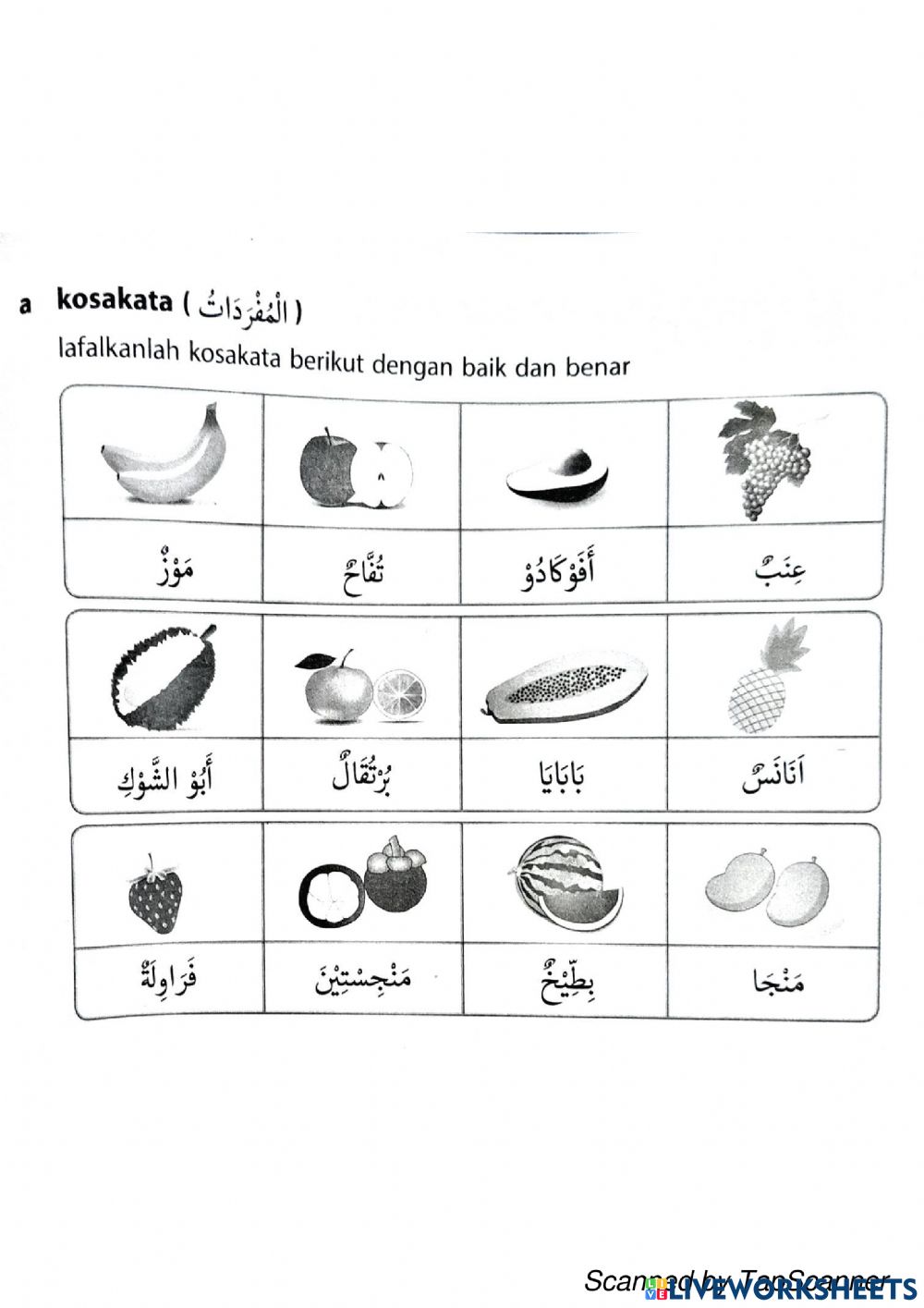 Detail Bahasa Arab Buah Buahan Dan Gambarnya Nomer 31