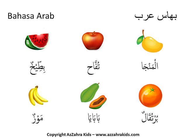 Detail Bahasa Arab Buah Buahan Dan Gambarnya Nomer 53
