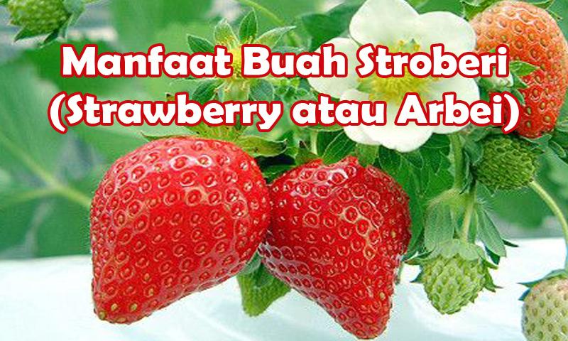 Detail Bahasa Arab Buah Strawberry Nomer 19