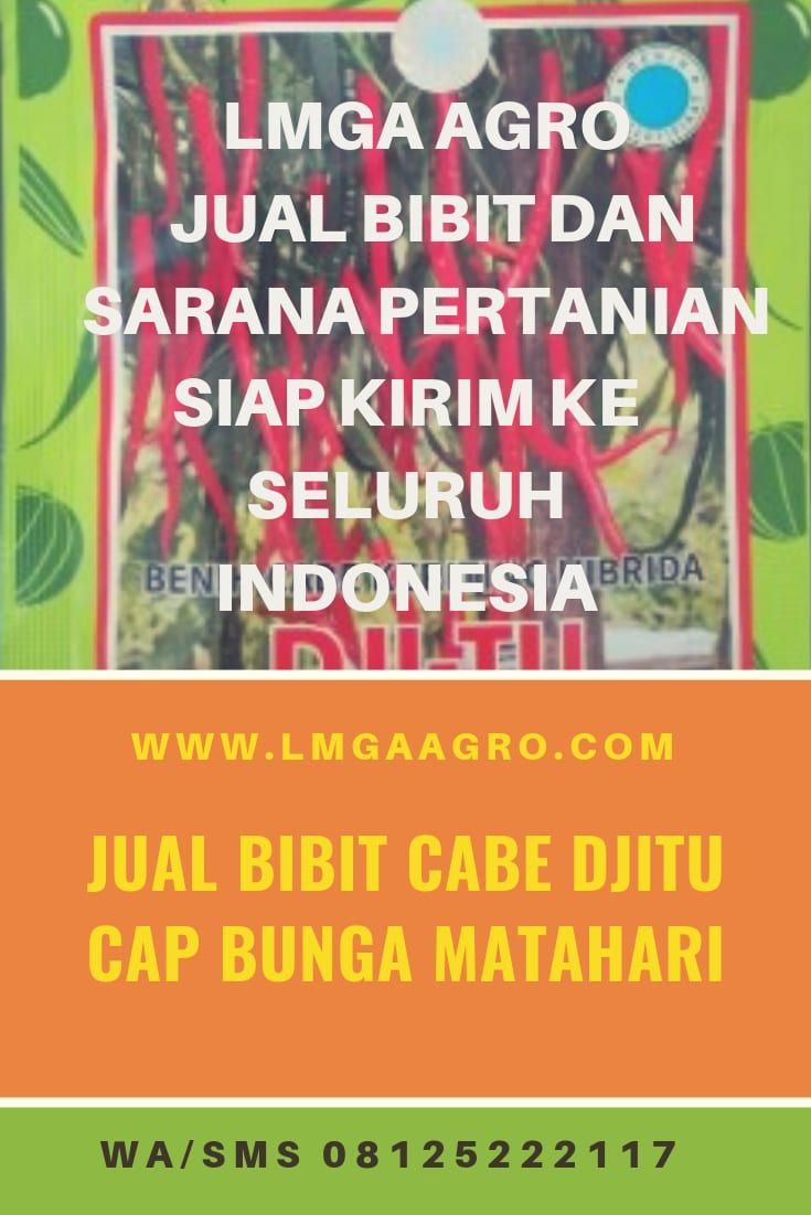 Detail Bahasa Arab Pot Bunga Nomer 30