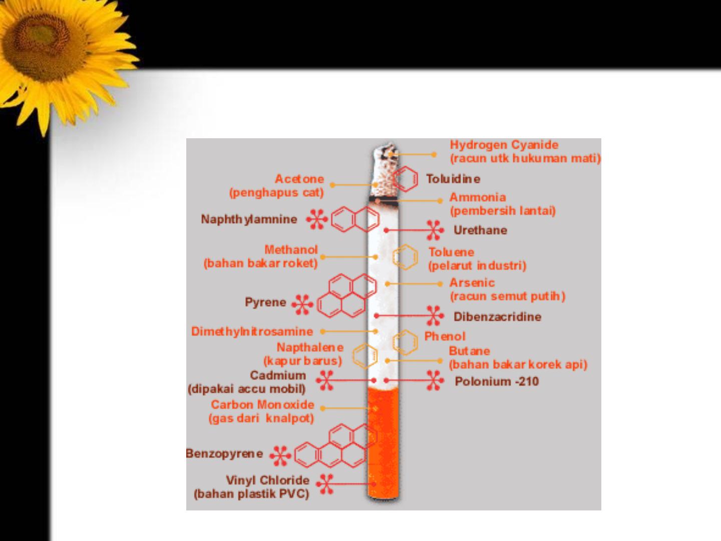 Detail Bahaya Rokok Ppt Nomer 25