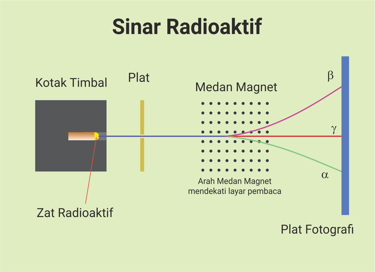 Detail Bahaya Sinar Radioaktif Nomer 33