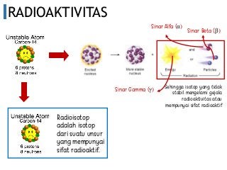 Detail Bahaya Sinar Radioaktif Nomer 36