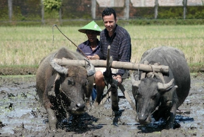 Detail Bajak Sawah Dengan Kerbau Nomer 22