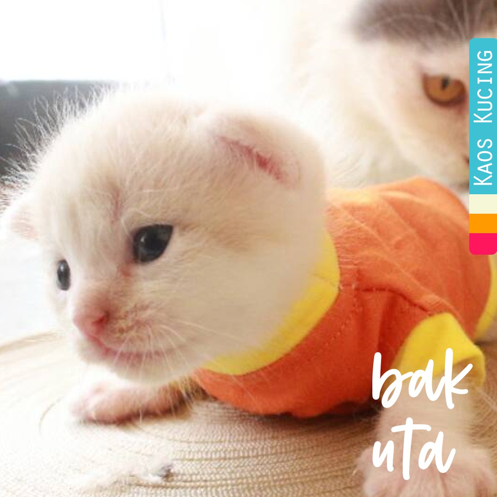 Detail Baju Gambar Kucing Nomer 56