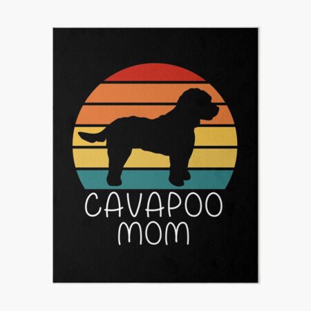 Detail Cavapoo Wurfplanung Nomer 8