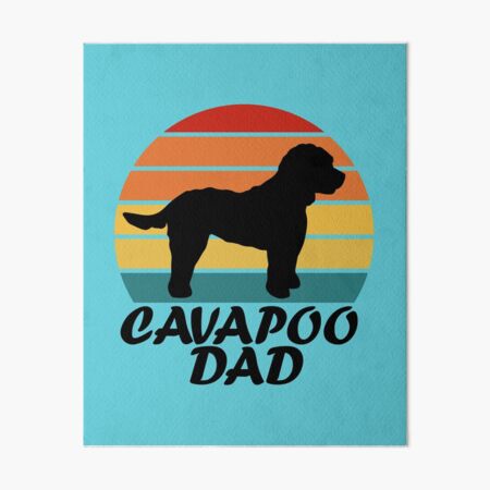 Detail Cavapoo Wurfplanung Nomer 2