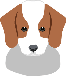 Detail Cavapoo Wurfplanung Nomer 16